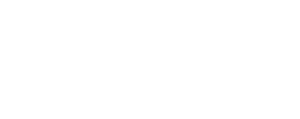 Partner 17