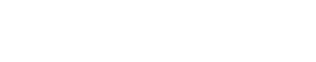 Partner 18