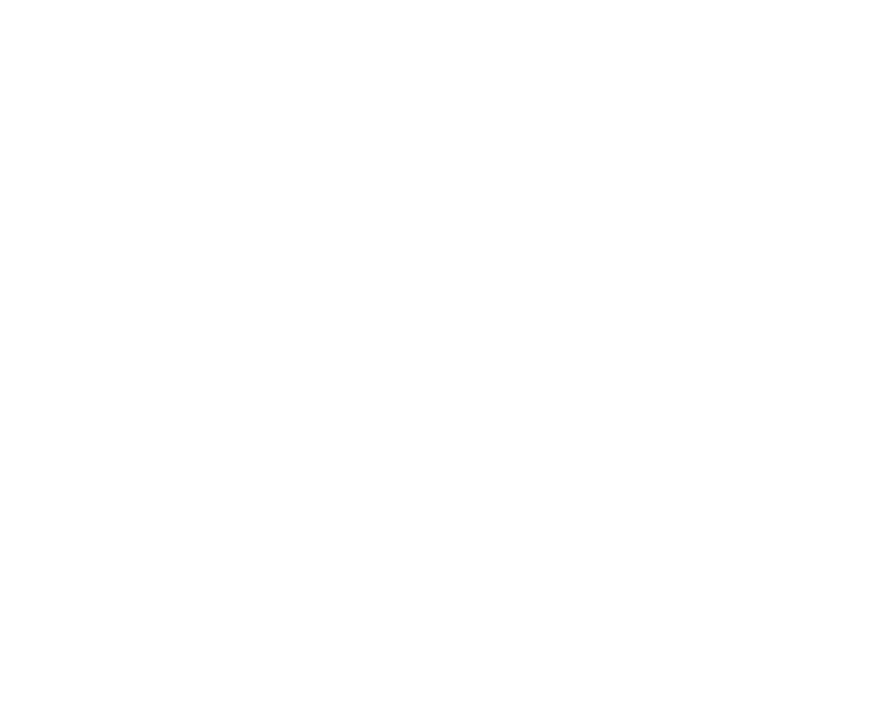 Partner 20