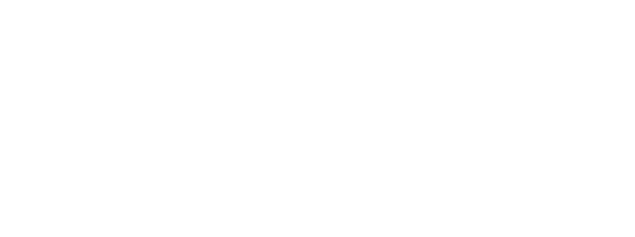 Partner 29